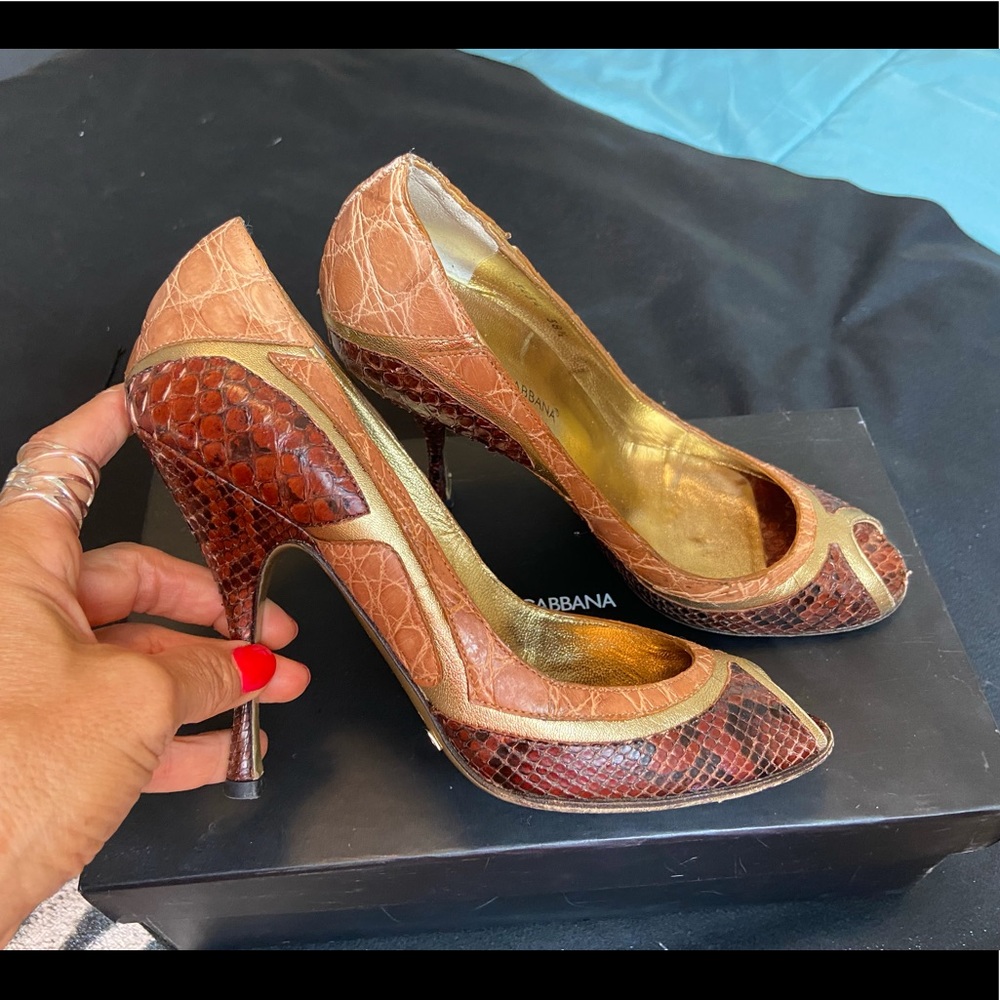 Dolce Gabbana snake skin high heals
